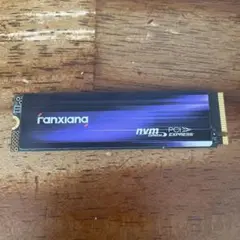 Fanxianag S880 1TB NVMe M.2 SSD