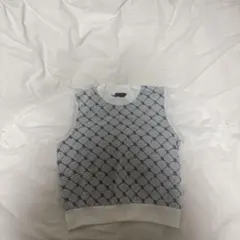 INGNI 半袖 シアー袖