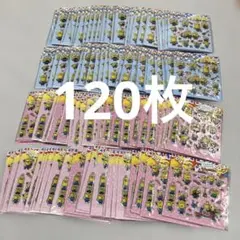 プックリシールミニオン