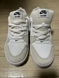 NIKE ナイキSB アリウープ　スニーカー　スケートボード　25.5cm