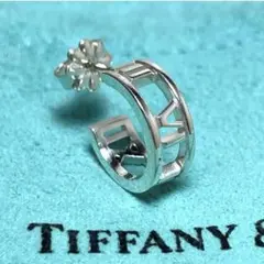 2025年最新】ティファニー ピアス 片耳の人気アイテム - メルカリ