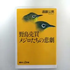 Item thumbnail for item f80dc4b5-e2cc-4413-b54e-802693db15fe