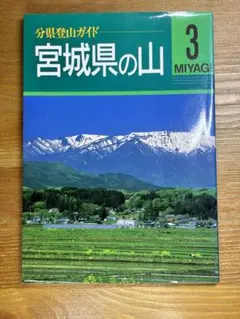 Item thumbnail for item 9027c31f-ada2-4b7a-b5fe-b05ae93de1fa