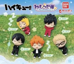 ハイキュー ねむらせ隊 コンプリート