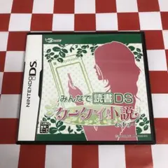 【C18805】みんなで読書DS ケータイ小説ですぅ〜