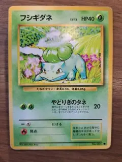 1996年 バンダイ ポケットモンスター フシギダネ PSA8鑑定済 フシギダネ ポケモンカード 1996年 - メルカリ