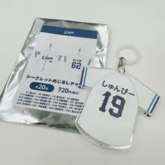 埼玉 西武ライオンズ シークレットあだ名めじるしチャーム 番号19