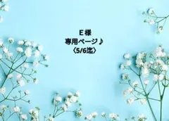 Ｅ様専用ページ♪