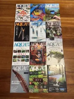 【極美品！】Aqua magazine アクアマガジン 21冊セット 極美品！】Aqua magazine アクアマガジン 21冊セット - メルカリ
