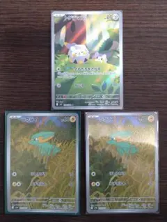 トゲデマル　ラクライ　AR