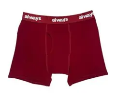 2026年最新】ALWAYS メンズ 下着・アンダーウェアの人気アイテム