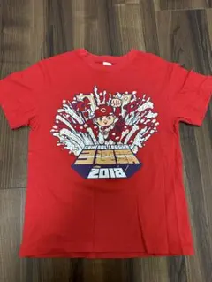 CARP 2018セ.リーグ優勝記念Tシャツ(M)＆タオル
