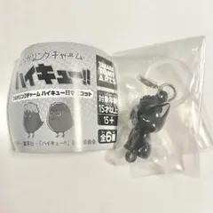 Item thumbnail for item c10ff38e-9300-4dc3-8a8f-1a7a9e0a81f5