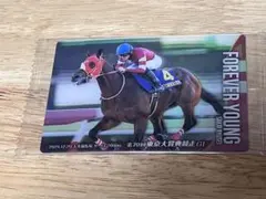 サラブレッドホースコレクションツインウエハース　　フォーエバーヤング