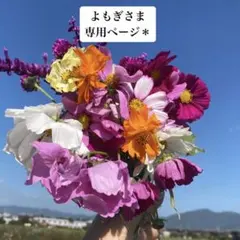 よもぎ様 リクエスト 2点 まとめ商品