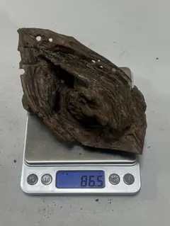 天然 年代物 さるのこしかけ 置物 オブジェ インテリア 天然 年代物 さるのこしかけ 置物 オブジェ インテリア - メルカリ