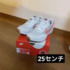 Item thumbnail for item 22d726ef-f099-43b8-8f67-369d7452b84a