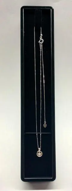 Item thumbnail for item eb1e382f-909d-4594-aac9-46990dfeec08