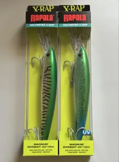 4個セット ラパラ ソルトウォーターエックスラップマグナム XRMAG30