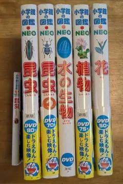 쇼가쿠칸 도감 NEO 5권+포켓 곤충 1권 세트 DVD 포함
