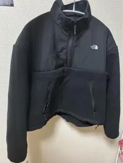 The north face プルオーバーデナリジャケット（レディース）