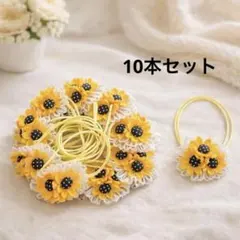 ハンドメイド　業務用 ペットトリミングリボン チョーカー　10本セット