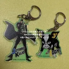 オーロラアクリルキーホルダー ジョジョの奇妙な冒険 スターダストクルセイダース