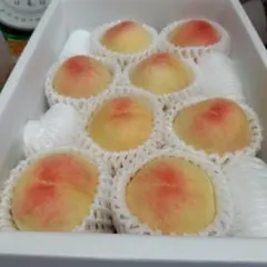 岡山産　桃　訳あり品ご自宅用のサムネイル