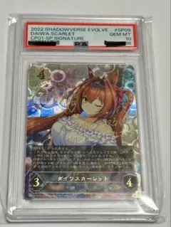 シャドウバースエボルヴ 璐缇雅 リーダーカード パラレル - メルカリ