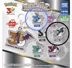 ポケモン 30周年 メタルチャームマスコット（2個セット）