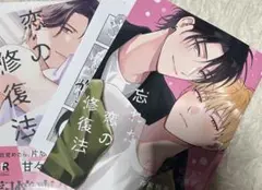 新刊ＢＬ／忘れた恋の修復法