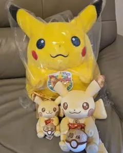 ☆3点セット☆ ポケモン はじまりのピカチュウ＆30周年ピカピカ