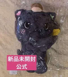 NCTWISH リク ぬいぐるみ バッグ トレカあり - メルカリ