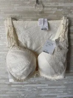 D75&M」トリンプ フロラーレ Day & Night 植物感 ブラ&ショーツ