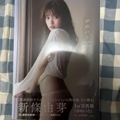 本日限定特別最終大特価♡夢咲はゆ(新條由芽)サイン入 写真集&ポストカードセット 本日限定特別最終大特価♡夢咲はゆ(新條由芽)サイン入 写真集