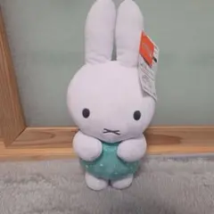 Item thumbnail for item 43e18fbe-c080-4017-b765-d859f8d96a0e