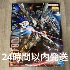 MG 1/100 フリーダムガンダム Ver.2.0 合金フレーム使用 完成品 - メルカリ