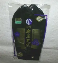 Item thumbnail for item 40f124e0-d75c-403d-9158-c7770bd4158d