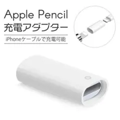 Apple Pencil 充電 アダプター 変換 USB ケーブル 用