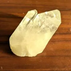 Selena ※プロフィール必読願います様 リクエスト 2点 まとめ商品