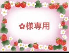 ︎✿様専用