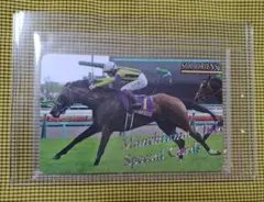 【まねき馬】ソールオリエンス・レインボーカード