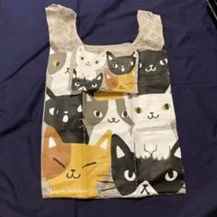 Item thumbnail for item b401b1b4-c4be-4618-b320-2d064817a715