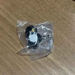 Daisuke Kondo めじるしアクセサリー　pengin ペンギン