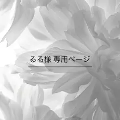 るる様 専用ページ✿.*・