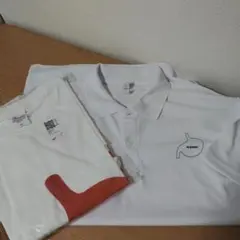 メンズＴシャツ、ポロシャツまとめ売り　ＬとXＬサイズ