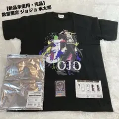 【新品未使用・完品】数量限定 ジョジョ 承太郎 AR スタープラチナ 17 L