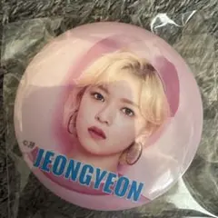 TWICE ジョンヨン　缶バッチ