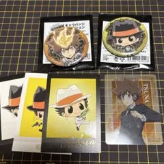 家庭教師ヒットマンREBORN 缶バッジ 沢田綱吉　reborn まとめ売り