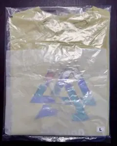 新品！湘南国際マラソン2025 THE NORTH FACE Tシャツ Lサイズ